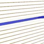 Los plesiosaurios nadaban con el cuello recto según nuevas simulaciones