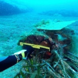 Hallan una bomba de la Segunda Guerra Mundial en aguas de la isla de Tabarca