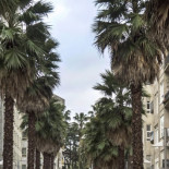 El sueño de la ciudad (casi) sin coches en Pontevedra