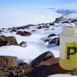 Por qué no se puede orinar en la nieve de la Antártida