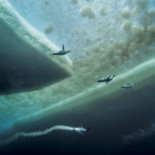 El mundo que existe bajo la Antártida nos muestra su apabullante belleza