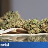 Legalicemos la marihuana