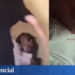 Arrestan a un príncipe saudí por grabar vídeos propinando palizas a sus sirvientes