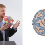 Virus, la belleza de la bestia [ENG]