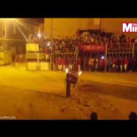 Un toro muere al estrellarse contra el pilón