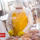 ¿Qué es el pollo clorado y por qué causa polémica entre Estados Unidos y la Unión Europea?
