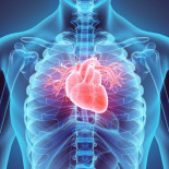 Logran revertir el daño causado por un ataque al corazón