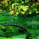 El verdadero color de las clorofilas [ENG]