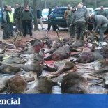 Monterías de la jet-set: Los animales se comen nuestras cosechas
