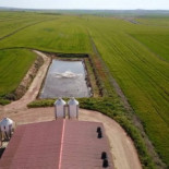 Graban con un dron el tremendo impacto medioambiental de las grandes granjas porcinas