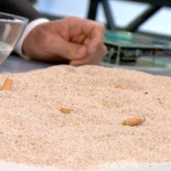 Una sola colilla contamina 10 litros de agua salada y tarda una década en degradarse en el mar