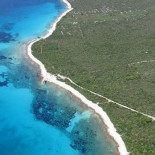 Revelan cómo se forman los 'círculos de hadas' en las praderas submarinas de la 'posidonia' mediterránea