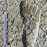 Huellas humanas de 20.000 años de antigüedad encontradas en Australia [ENG]
