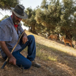El Cabrero: “Si otros cantaores ven el mundo perfecto, que sigan cantándole a la Feria de Sevilla”