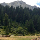 Un pastor gritando, unos excursionistas y 200 vacas extraviadas