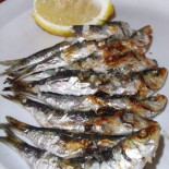 Uno de cada tres pescados que se consumen en España están infectados con anisakis