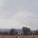 La vida rural que les estropea la foto