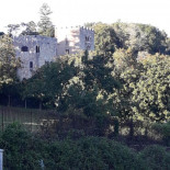 Una eurodiputada denuncia a la Fundación Franco ante la Comisión Europea por "apología del genocidio