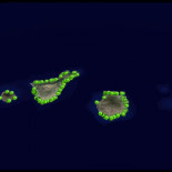 La vergüenza de Canarias, lo que el mar esconde y ningún político arregla