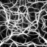 El entrelazamiento cuántico es una característica inevitable de la realidad