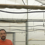 Oro verde, las semillas libres de la huerta de Europa