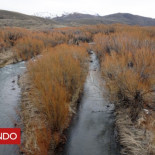 Dónde desapareció Santiago Maldonado y qué tiene que ver Benetton con la protesta mapuche donde lo vieron por última vez