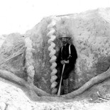 Los tirabuzones del diablo [ENG]