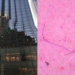 Microplásticos también en el agua de grifo