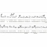 Descifrado el manuscrito Voynich [ENG]