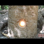Tecnología primitiva: horno de calado natural