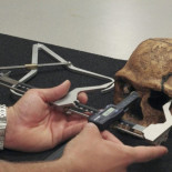 Testosterona y Civilización