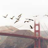 Cómo San Francisco desplazó 100 metros los lugares donde se cometían asesinatos: un argumento contra las cámaras