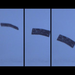 Esta banda-robot magnética camina, gatea, salta, nada y transporta objetos (ING)