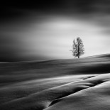 Así vieron la naturaleza los mejores fotógrafos de paisaje de 2017