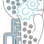 Entrevista a un bazo: "Usted no sabe quién soy yo"