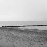 Cada bajamar pone al descubierto un tesoro sanluqueño