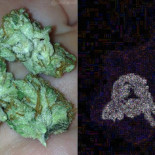 Detecta si una imagen es falsa con esta web