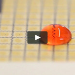 Usan gotas de agua programables como interfaces informáticas (ING)