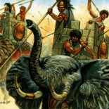 Origen de los númidas