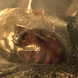 Ejecución con oro fundido