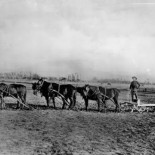 Hollywood antes de ser la meca del Cine (1860-1923)