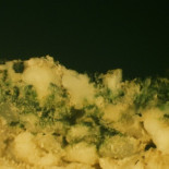 Descubierto un nuevo tipo de fotosíntesis (ENG)