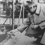 Pasión y muerte de Paco, el mono onanista de Redondela