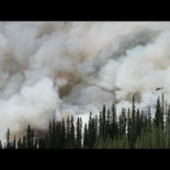 Un modelo de la NASA predice el riesgo de incendios a escala mundial (ING)