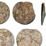 Así eran las primeras joyas del Neolítico reciente, halladas en Granada 