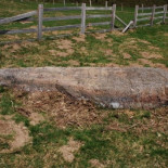 La Estación Megalítica de Sejos-Cuquillo (Cantabria)