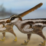 Descubren las huellas de dinosaurio más pequeñas del mundo [ING]