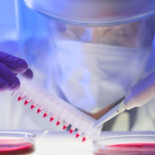 Un megatelescopio chino y geoingeniería solar: 7 novedades de la ciencia en 2019 según Nature