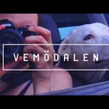 Vemödalen: la sensación de que todo está ya inventado [ENG-subs multi]