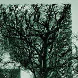 Las matemáticas… ¿invento o descubrimiento? Un milenario debate sin resolver 